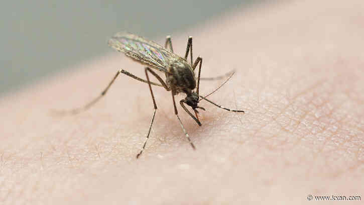 Georgetown mosquito trap tests positive for West Nile, spraying scheduled for weekend