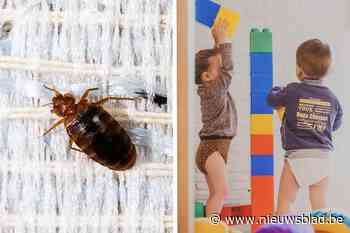 Crèche gaat drie weken dicht wegens bedwantsen: “Moeten het hele gebouw verwarmen tot 50 graden Celsius”