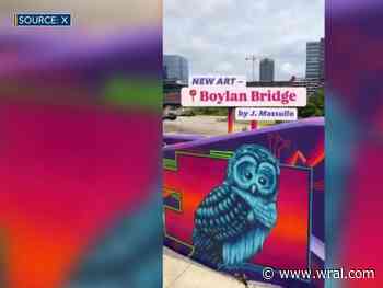 Boylan Bridge gets vibrant new mural