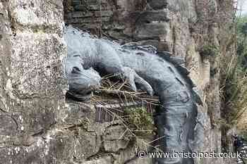 'Crocodile' appears at infamous Bristol harbour