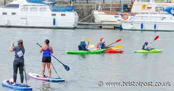 High E-Coli levels in several parts of Bristol's Floating Harbour