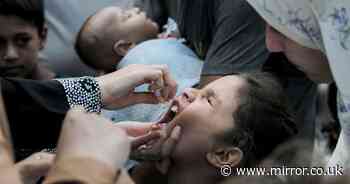 Gaza mums desperate for baby polio jabs put UK parents to shame as our vaccine take-up stalls