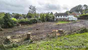 Villagers say developers have 'made mockery' of planning rules 'by razing wildlife haven that was home to protected bats, owls, woodpeckers and wild orchids before submitting plans to build there'