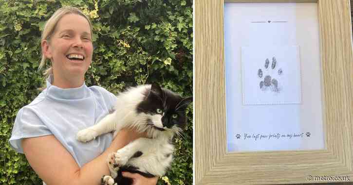 ‘Cremated’ cat, Ted, saunters back home four days after dying