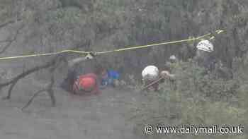 Dramatic footage shows stranded Texans clinging to trees after car is swept away in flood