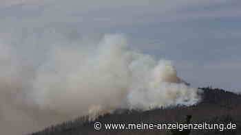 Waldbrand im Harz – große Evakuierungsaktion am Brocken