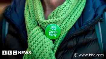 Greens suspend health spokesperson over trans remarks