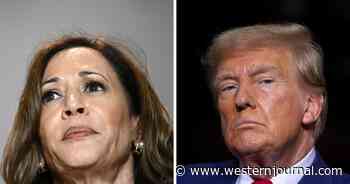 Prominent Pollster's Election Model Shows Surge for Trump as Kamala Gets Bad News from Swing States