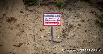 Children’s Parliament to hold emergency Cobra meeting to address coastal erosion