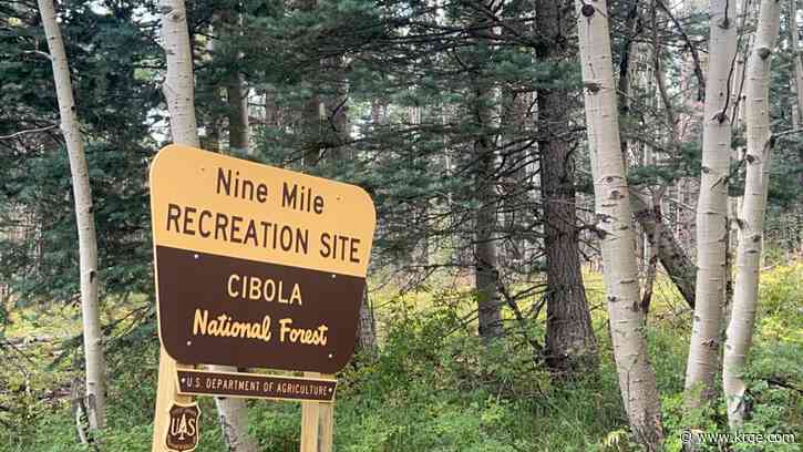 Nine Mile Picnic Grounds back open in the Cibola National Forest