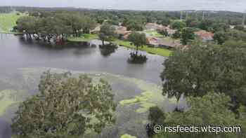 Zephyrhills neighbors concerned as floodwaters encroach on homes