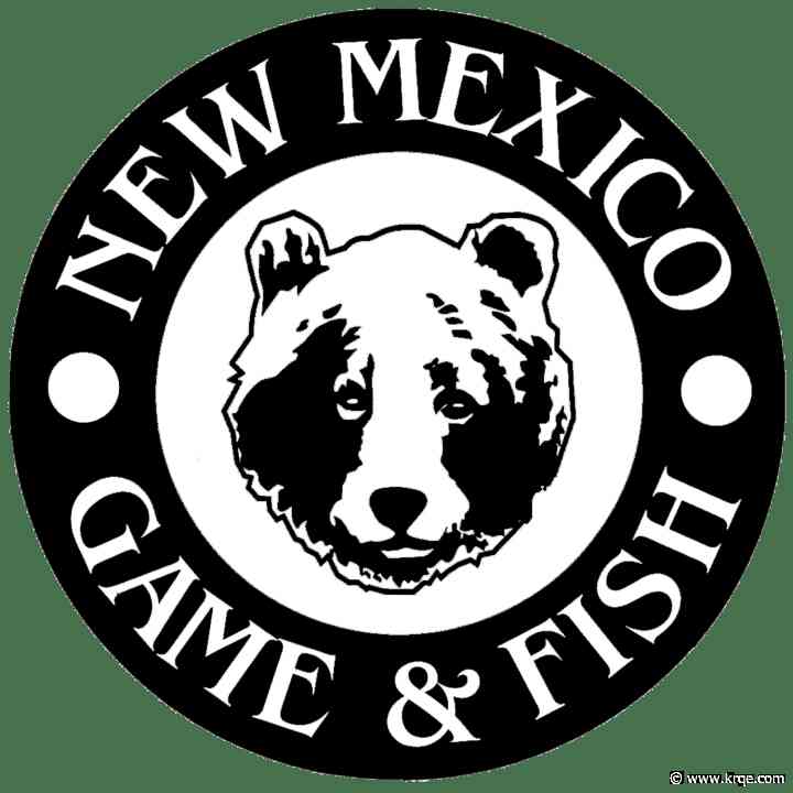 NM Department of Game and Fish adding more flathead catfish to Elephant Butte