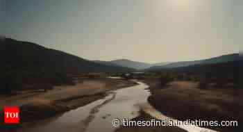 Poland's rivers face drought crisis due to climate change, warns weather agency