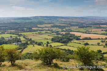 Treasury seeks to slash England&#39;s farming budget by &#163;100m