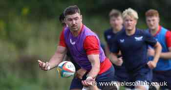 The straight-talking Australian giant brought in to toughen up the Scarlets