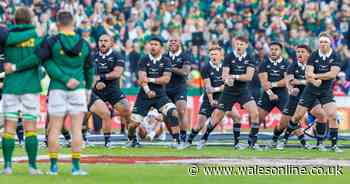 South Africa v New Zealand TV channel, kick-off time and live stream details