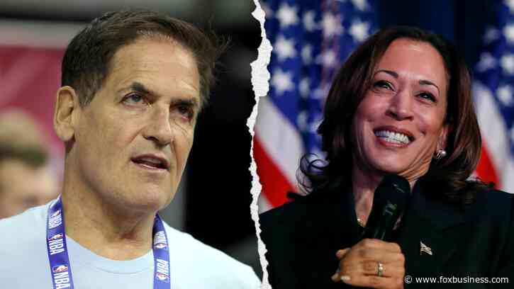 Mark Cuban warns taxing unrealized gains will 'kill the stock market,' insists Harris won't actually do it