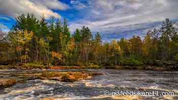 Fall Color Forecast: DNR offers predictions for Minnesota's most colorful season