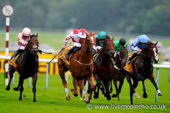 Holloway Boy wins the Superior Mile at Haydock Park