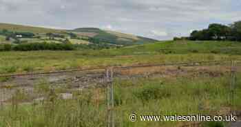 Plans for 133 new houses submitted in Bridgend