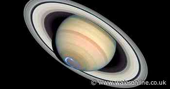 Rare chance to see Saturn at its brightest - before its rings disappear in 2025