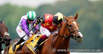 Montassib lands shock 25-1 win in the Betfair Sprint Cup at Haydock Park