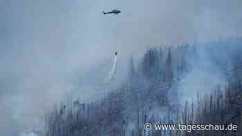 Hitze: Waldbrand am Brocken breitet sich aktuell nicht weiter aus