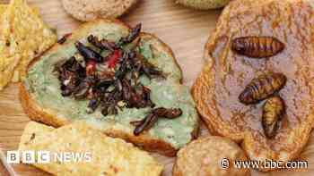 Would you eat insects if they were tastier?