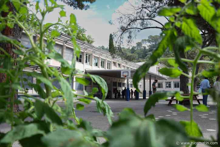 Ces experts locaux ont un plan pour des écoles adaptées au changement climatique