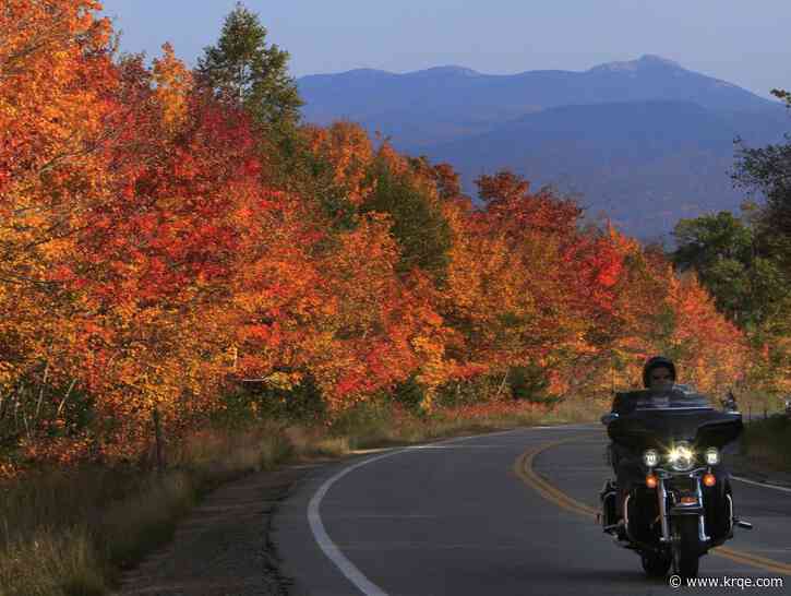 Map: These 20 states could see 'vibrant' fall colors this year