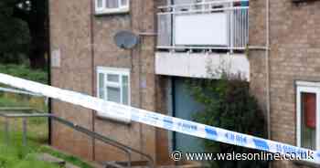 Man charged after Cardiff stabbing incident