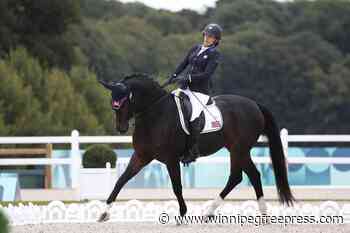 More Paralympic gold medals for US in equestrian and swimming