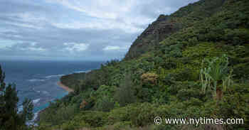 Hiking Trail in Hawaii Closes After Norovirus Outbreak