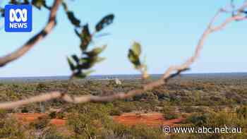 Queensland's rural debt increases by 8.2 per cent, but economists say it's a good thing