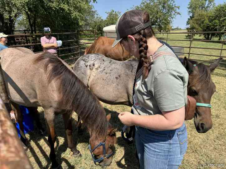 Clear the Shelters highlights horse adoptions on Saturday