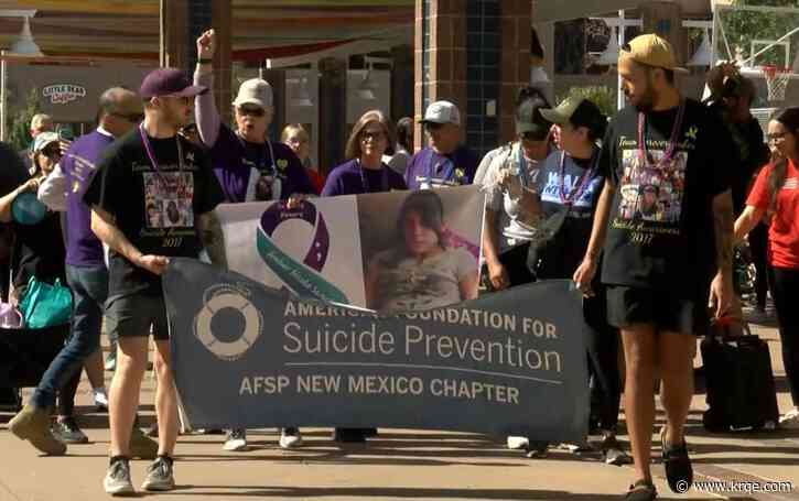 Locals remember those lost to suicide, raise funds for prevention with annual walk