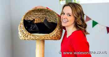 Cat owners should 'save toilet rolls' for one simple reason says Cats Protection behaviourist