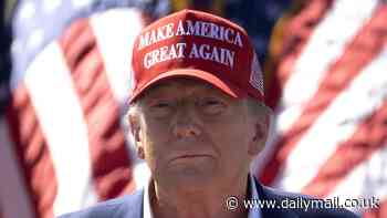 Dramatic moment Trump fan collapses at Wisconsin rally as crowd prays