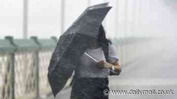 NSW is warned to brace for months of 'destructive' weather - here's what you need to know