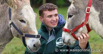 Teenager runs his own petting farm with 300 animals – and knows them all by name