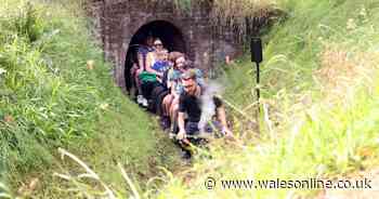 The family attraction tucked away in the middle of a housing estate you might never know was there