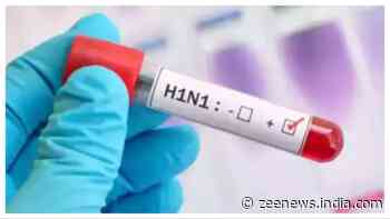 Indore Records First Swine Flu Death of the Year, Devi Ahilya University Professor Passes Away