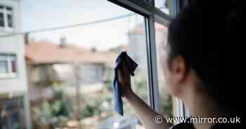 Best time of the day to clean windows – it prevents ugly streaks