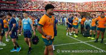 Today's rugby news as Australia humiliated on catastrophic night and coach 'very clear' on Wales star