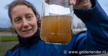 In Nederland waterland is water te vies: Europese normen worden lang niet gehaald