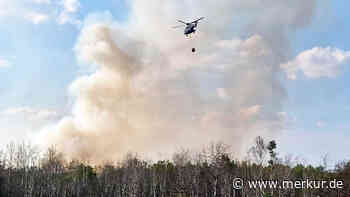 Waldbrand in Bayern sorgt für Großeinsatz der Feuerwehr