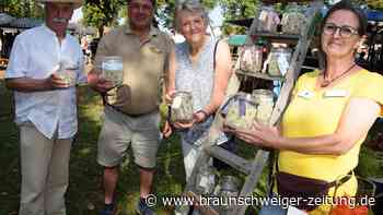 Das macht den Herbstmarkt in Meine einzigartig