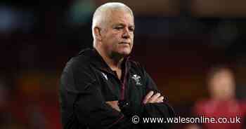 Tonight's rugby news as Gatland urged to back new Wales fly-half and Springbok banned for three years