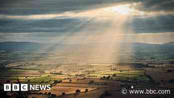 Your photos: Autumn arrives in the West Midlands