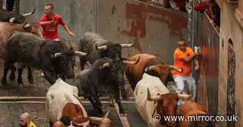 Young man, 20, gored to death at Spanish bull-running festival as animal punctures lung